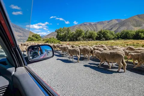 New Zealand off the beaten track in Woodbury — foto 2