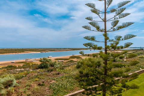 Appartementen Golden Club foto 12