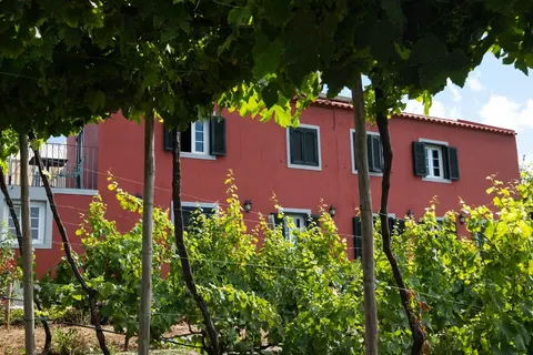 Quinta das Vinhas in Calheta — foto 2