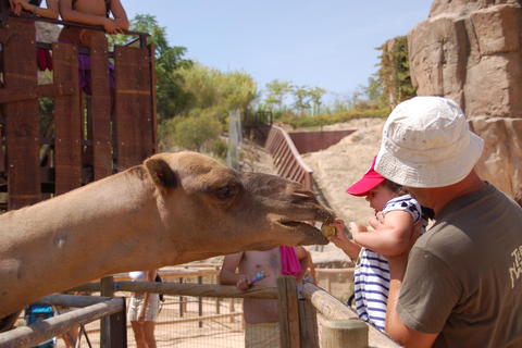 Hotel Magic Natura foto 22