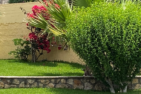 Appartementen San Lorenzo Village foto 19