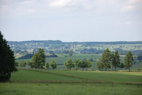 Hohenbusch in Burg-Reuland — foto 22
