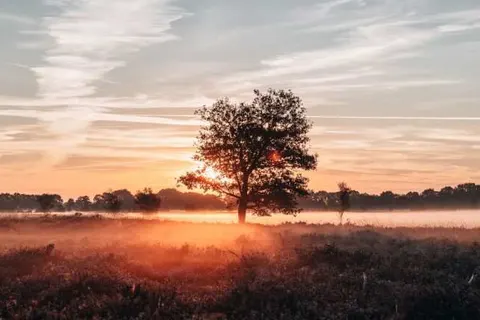 Hotel en Restaurant Wesseling foto 29