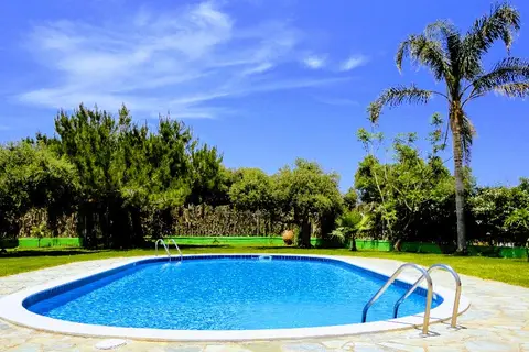 Ibiscus in Δημοτική Ενότητα Μαλίων — foto 2