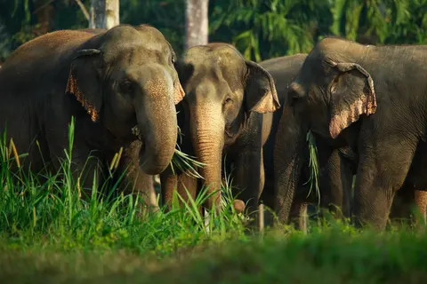 Thailand in stijl foto 5