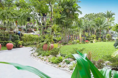 Matcha Samui Resort in บ้านบ่อผุด — foto 12