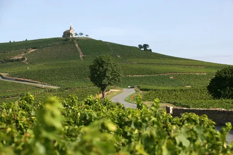 Camping La Grappe Fleurie foto 17