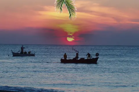 Camping Dei Fiori foto 16