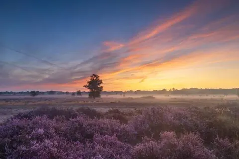 Wellnesshotel Spabron foto 30