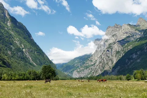 Camping Château De Rochetaillée foto 9