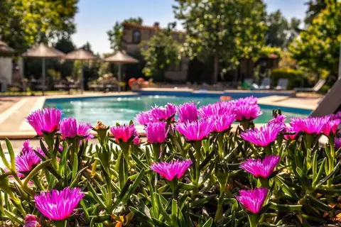 Petrino Eco Village in Δημοτική Ενότητα Κασσάνδρας — foto 23