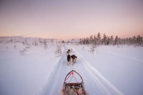 5-daags Winteravontuur Levi in Fins Lapland — foto 13