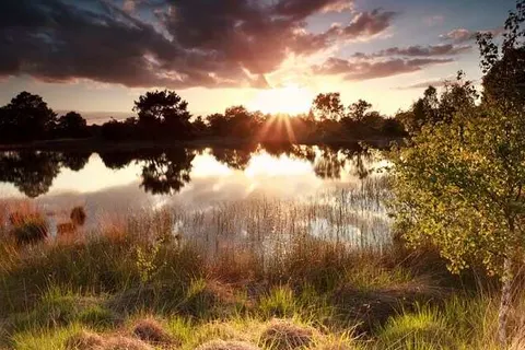 Parkhotel Auberge Vincent foto 21