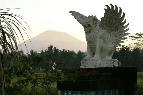 Viceroy Bali in Ubud, foto 9