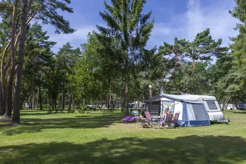 Vakantiepark Zilverstrand foto 6