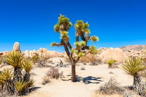 The Ultimate Southwest USA Experience foto 1