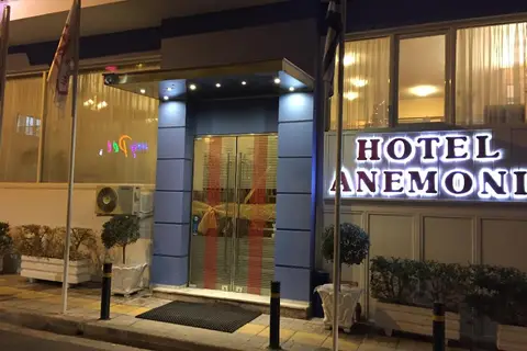 Anemoni in Piraeus — foto 15