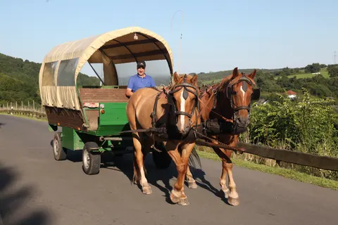 Eifelpark Kronenburger See foto 29