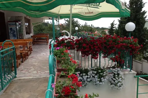 Zora in Несебър — foto 27