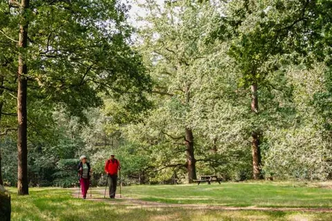 Villapark De Hondsrug foto 9