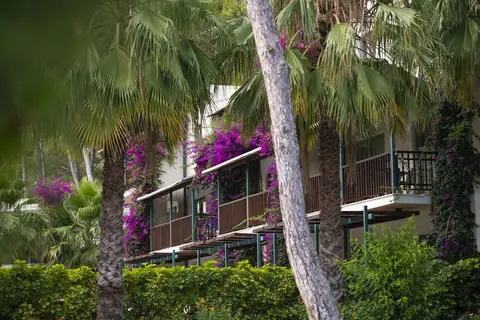 Turquoise Hotel in Turquoise, foto 25