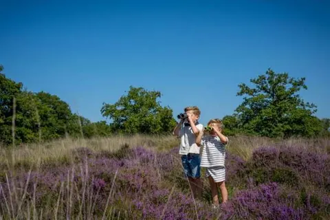 Familie Resort de Tovertuin foto 21