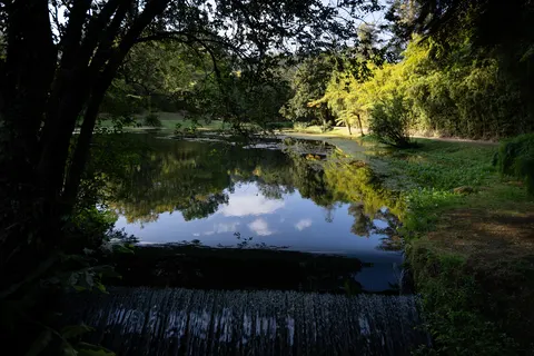 Cantos Green Garden in Povoação — foto 21
