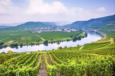 Landgasthof Hotel Simon foto 19