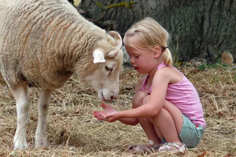 7 9 daagse fietsreis Het Franse Pad foto 2