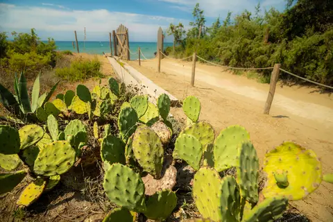 Village Oasi in Orbetello — foto 16