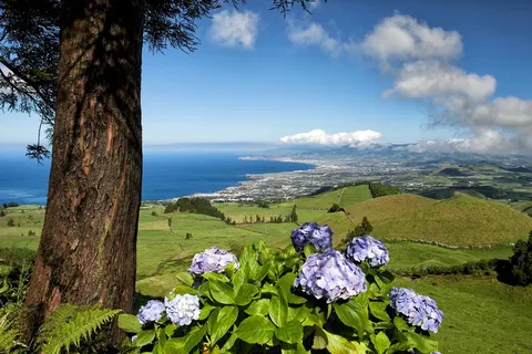 8 daagse fly drive Sao Miguel Faial & Pico foto 3