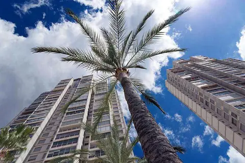 Gemelos 20 in Benidorm — foto 8