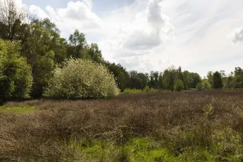 Campanile Hotel Eindhoven foto 18