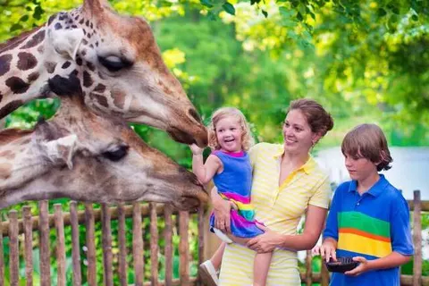 Boutique Hotel, Restaurant & Wellness Westerburcht foto 30