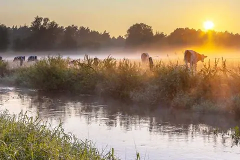 Hotel De Landmarke by Flow foto 23