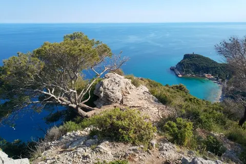 Camping Dei Fiori foto 14