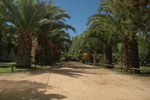 Camping Iscrixedda foto 16