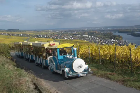 Hotel Felsenkeller in Rüdesheim am Rhein — foto 32