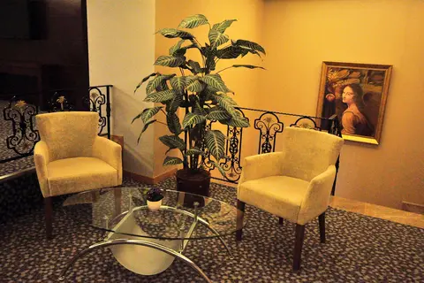 Hotel Osaka Airport in Fatih — foto 11