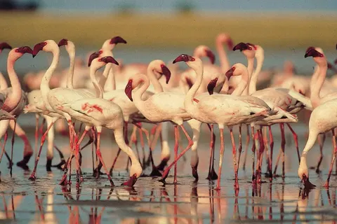 Sardinië op het gemak foto 11