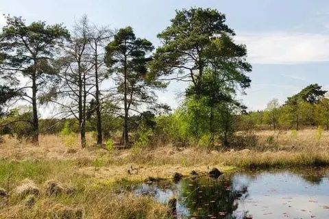 Oostappen Vakantiepark Boschbeek foto 4