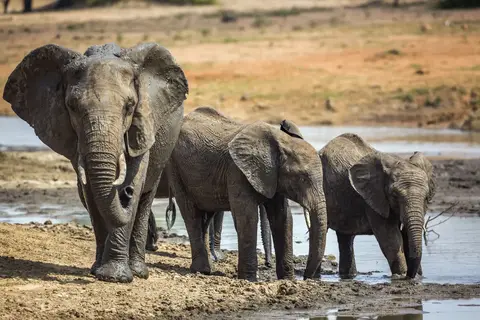 Zuid-Afrika op het Gemak in Noorderlijk Zuid-Afrika, Krugerpark, Panoramaroute — foto 7