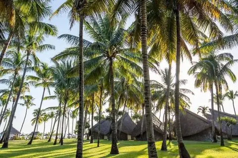 La Pirogue A Sun Resort in Flic en Flac VCA — foto 27