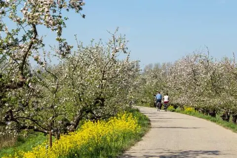 Hotel Botanique foto 8