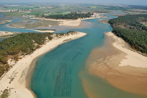 Le Paradis in Talmont-Saint-Hilaire — foto 10