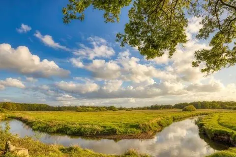 Vakantiepark De Toffe Peer foto 16