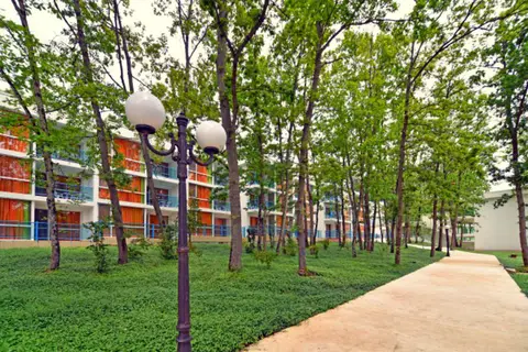 Forest Beach Hotel in Свети Влас — foto 19
