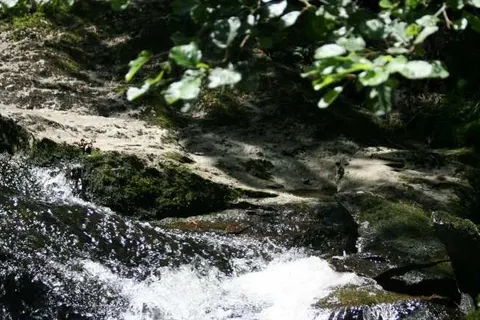 Hotel Landgasthof Hohenauer Hof foto 25