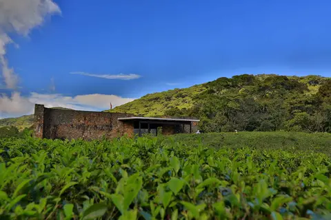 Rainforest Eco Lodge in Rainforest Ecolodge — foto 29
