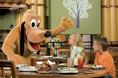 Walt Disney World Dolphin Hotel in Lake Buena Vista — foto 13